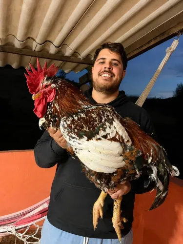 Ovos galados de gsb balão