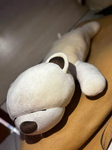 Urso de Pelúcia