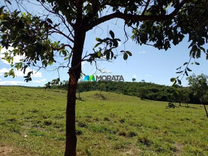FAZENDA À VENDA - 1.118 HECTARES - AUGUSTO DE LIMA (MG)