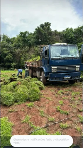 Vendas e plantio de grama 