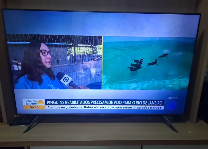 TV 55 - SAMSUNG- 4K