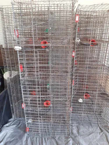 Gaiolas para codornas