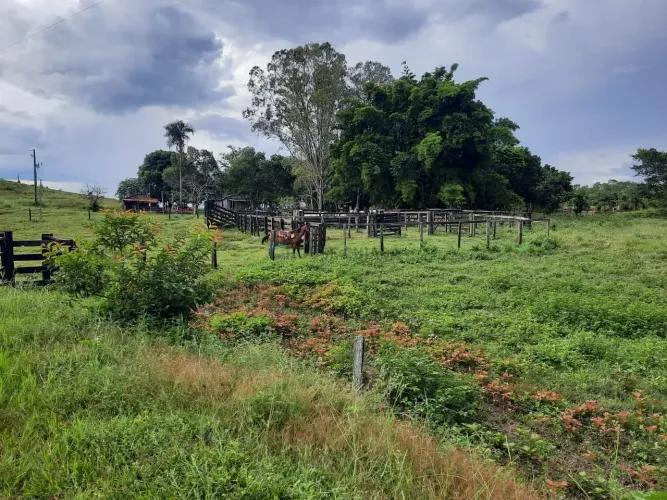 FAZENDA À VENDA REGIÃO DE Nova Brasilândia MT
