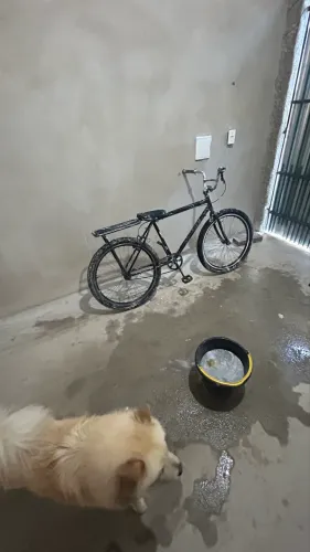 BICICLETA MONTADINHA ARO 26