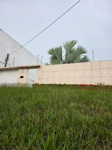 Alugo Casa Centro