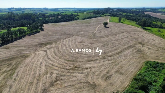 Sitio com 12,5 Alqueires a venda a 3 Km da Rod. Castelo Branco Excelente para Empreendimen