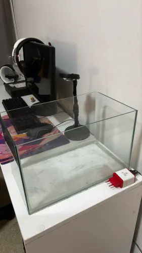 áquario novo