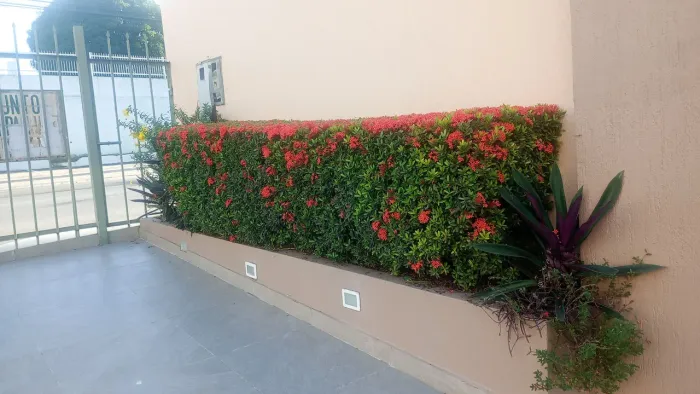 Jardineiro disponível 