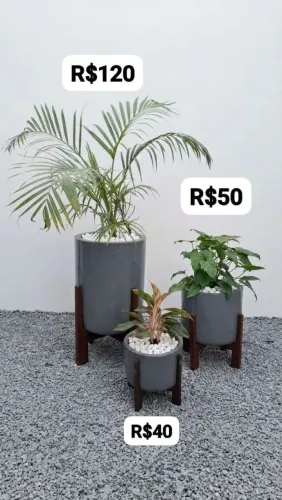 PLANTAS JÁ COM VASOS IGUAL NA FOTO COM SUPORTE DE MADEIRA