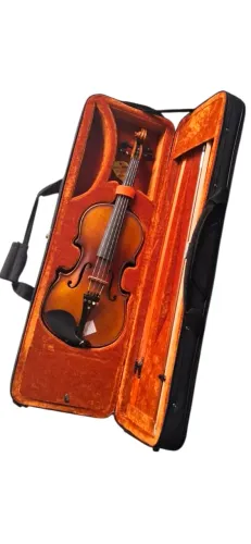 Violino 4/4 Eagle C/estojo (envelhecido) Ve244