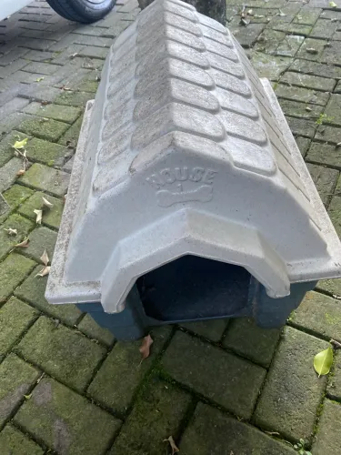 Casinha para cachorro usada