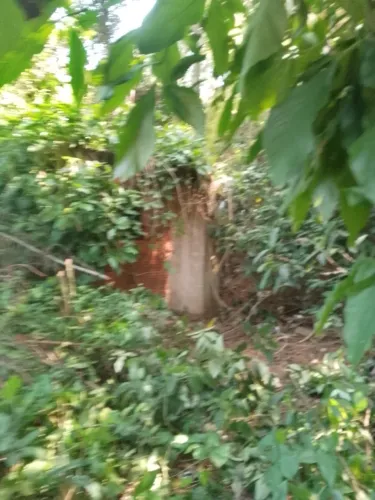 Terreno 360 metros muitas árvores frutificas