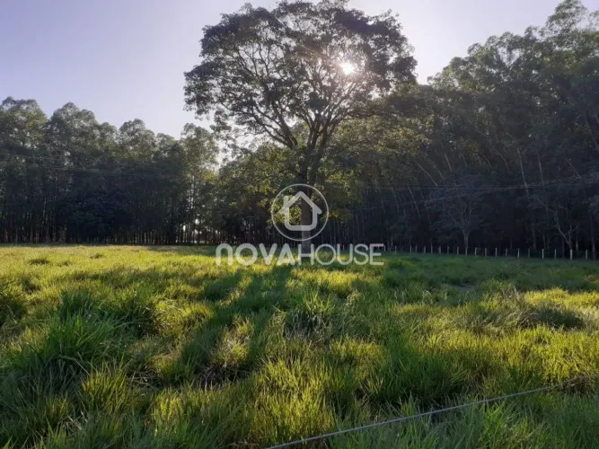 FAZENDA EM TERENOS