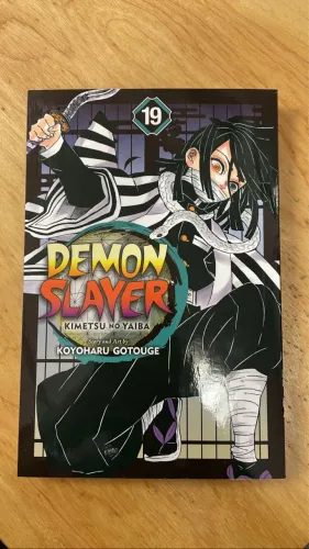 Manga demon slayer volume 19