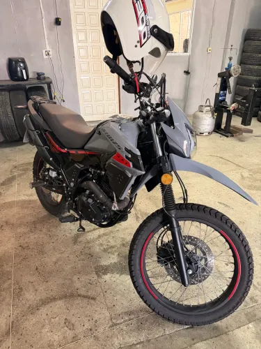 Shi 175