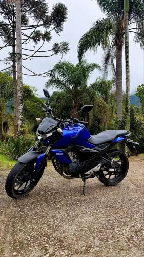Yamaha - FZ15 - ano 2023/2024 - Azul 