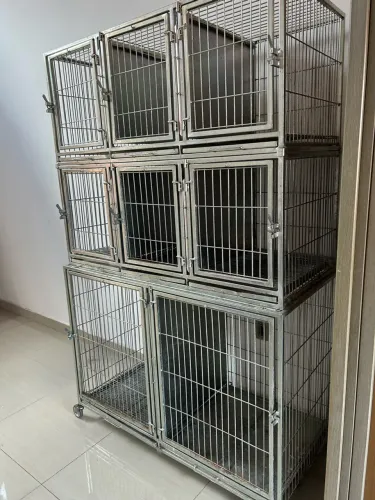 Canil gaiola modular 