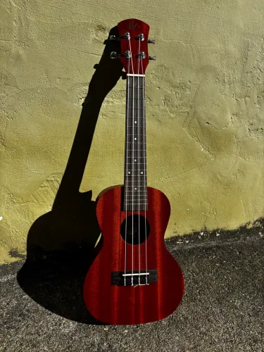 Ukulele Concert Winner