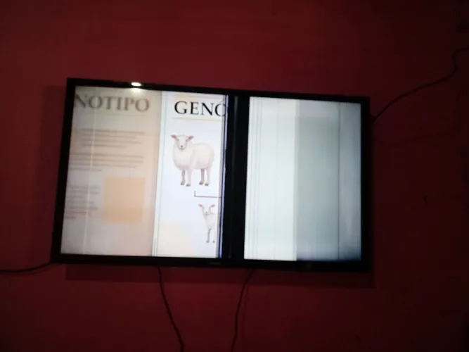 Tv não é smart