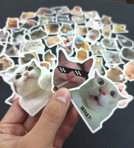 Kit 10 Adesivos de Gatinhos - Memes Gatos Cat Zoeira Humor Pacote Pack - NerdDog Store