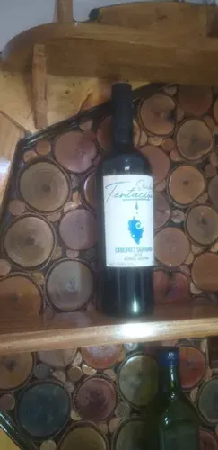 Adega de parede produto novo