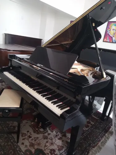 Piano de Cauda, Marca Petrof, Reformado, Excelente Estado (Usado)