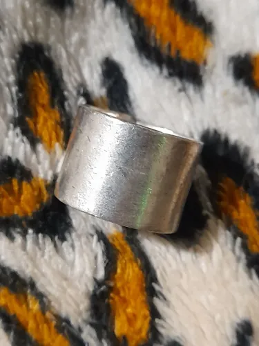 Guitarra Slide 