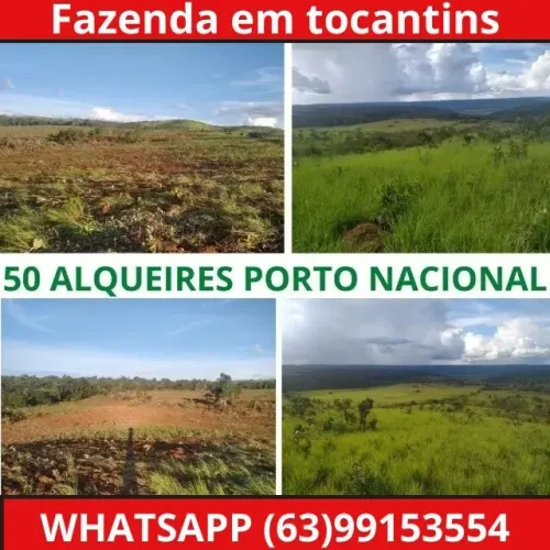 Oportunidade Fazenda a venda em Porto Nacional para criaçao ou lavoura