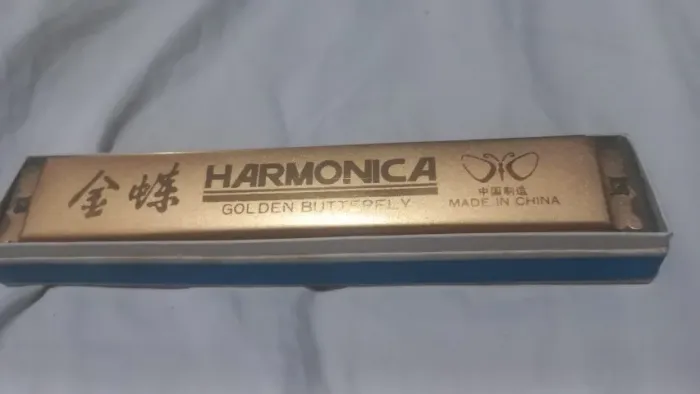 Gaita chinesa dourada