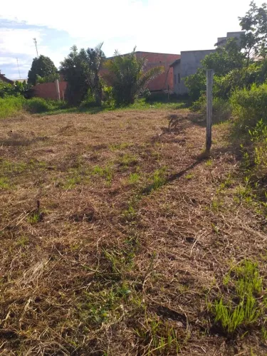 Terreno no platô do piquiá 