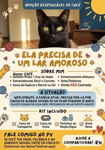 Gatinha em camacari