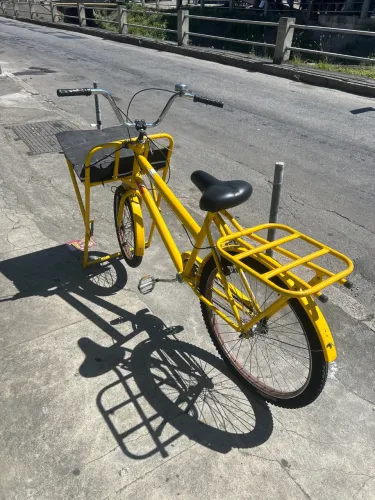 Bicicleta cargueira