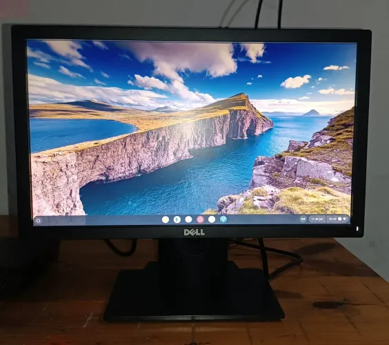 Monitor Dell E1916Hf 18.5" VGA e DisplyPort