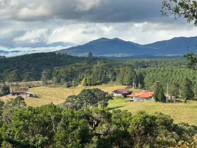 TERRENO RURAL em CAMPO ALEGRE - SC, Laranjeiras
