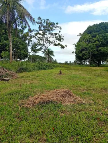 Terreno Zona Rural de Mata de São João - Ótima oportunidade !!