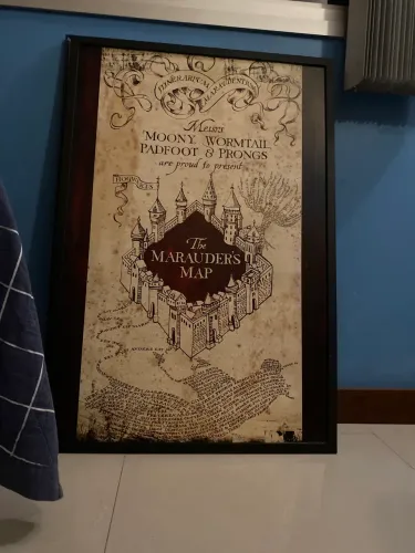 Quadro Harry Potter