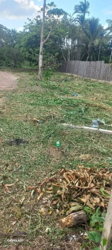 Terreno 