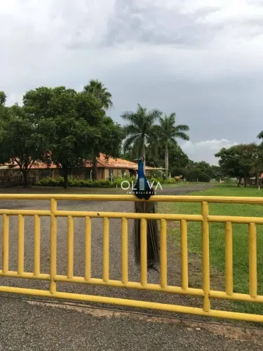 Sítio à venda, 84700 m² por R$ 3.990.000,00 - Zona Rural - Nhandeara/SP
