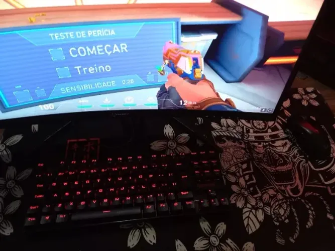 Monitor Husky Storm 27 e LG 19 polegadas