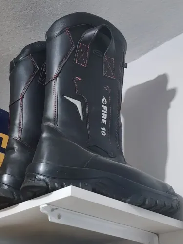 Bota