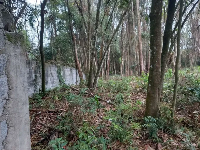 Lote em condomínio em Rua Renoir - Granja Viana - Cotia/SP