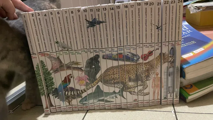 Coleção completa dicionário enciclopédico ilustrado