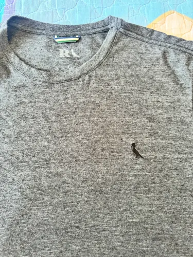 Camiseta Reserva Original 