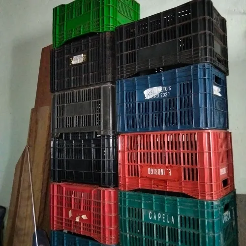 Caixas plásticas Hortifruti usadas