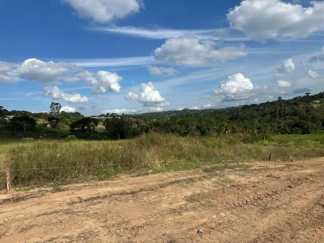 Oportunidade Que Cresce Todo Dia