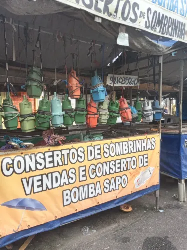 Bomba sapo
