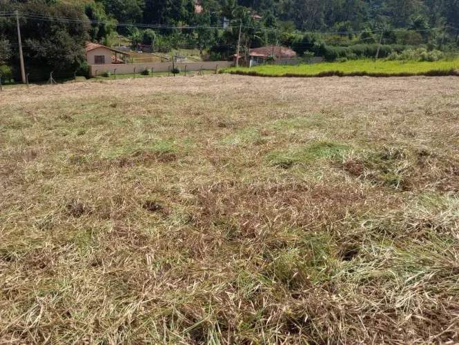 Tranquilidade e Segurança: Chácara de 1000m² em Condomínio com Portaria São Roque/Mairinq