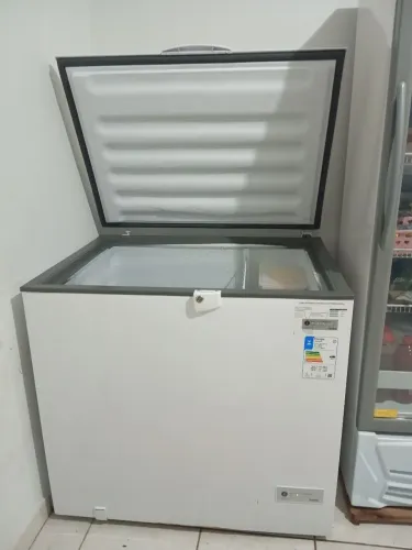 Freezer vertical 309Lt