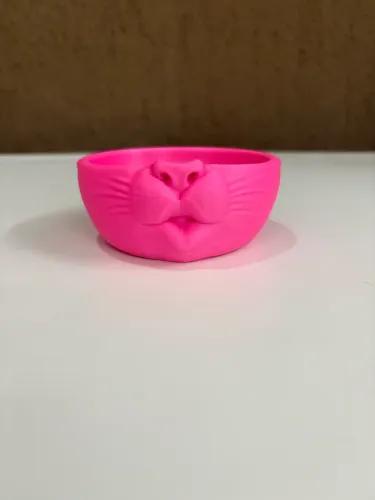 Tigela de Gato Beijo Rosa Caretas Comedouro Gatinhos Pets Pote para Ração