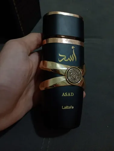 Asad lattafe